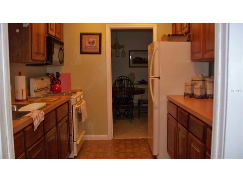 1565 MORNINGSIDE DRIVE, Mount Dora, FL 32757