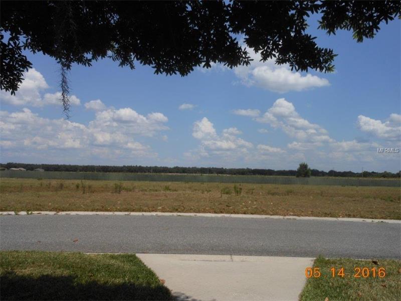 3029 CASTELLI BOULEVARD, Mount Dora, FL 32757