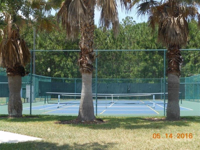 3029 CASTELLI BOULEVARD, Mount Dora, FL 32757