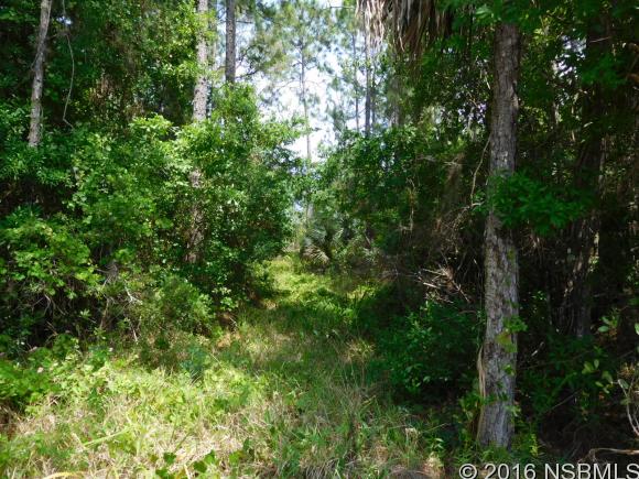 0 Beacon Light, Oak Hill, FL 32759