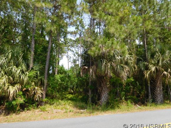 0 Beacon Light, Oak Hill, FL 32759