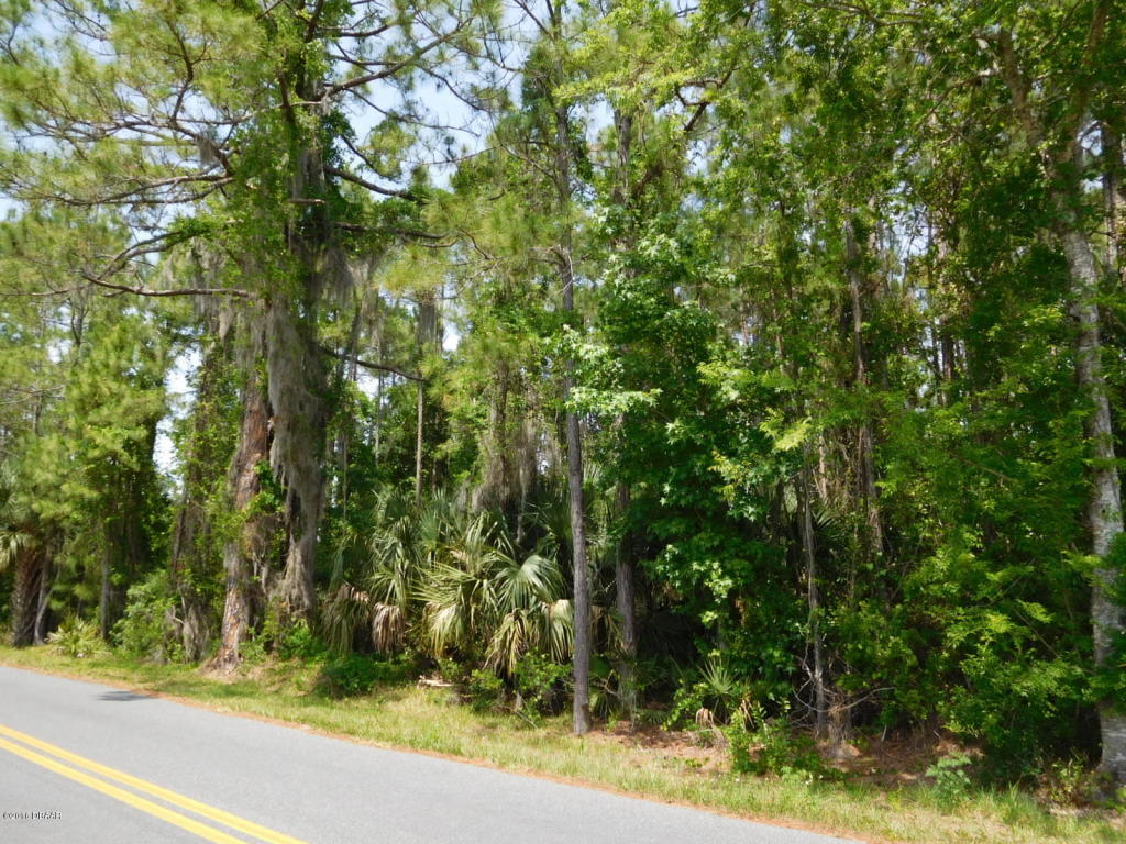 0 Beacon Light Road, Oak Hill, FL 32759