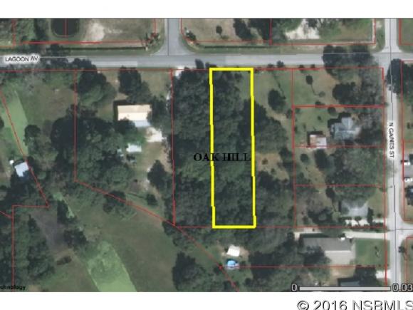 0Lagoon Ave, Oak Hill, FL 32759