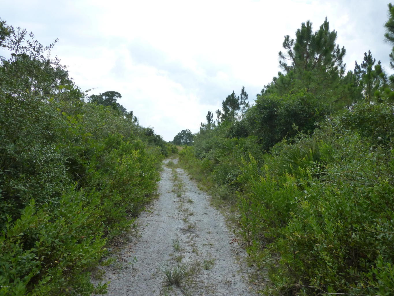 0 Magda Ln, Oak Hill, FL 32759