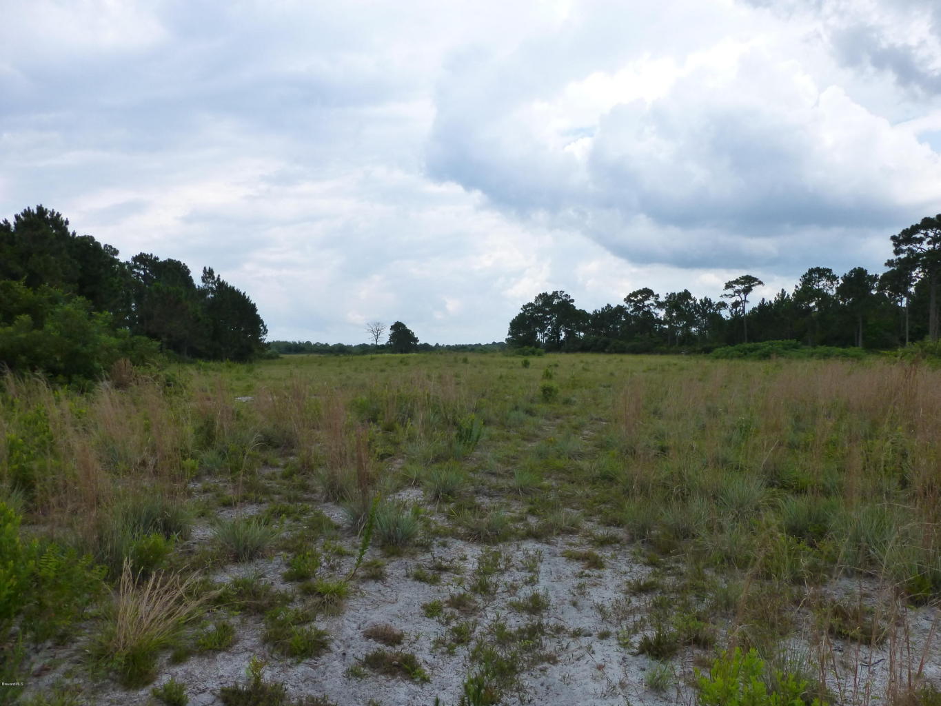 0 Magda Ln, Oak Hill, FL 32759