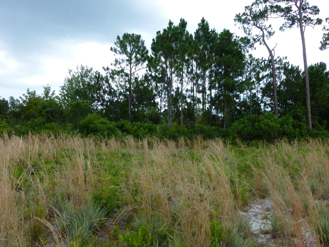 0 Magda Ln, Oak Hill, FL 32759
