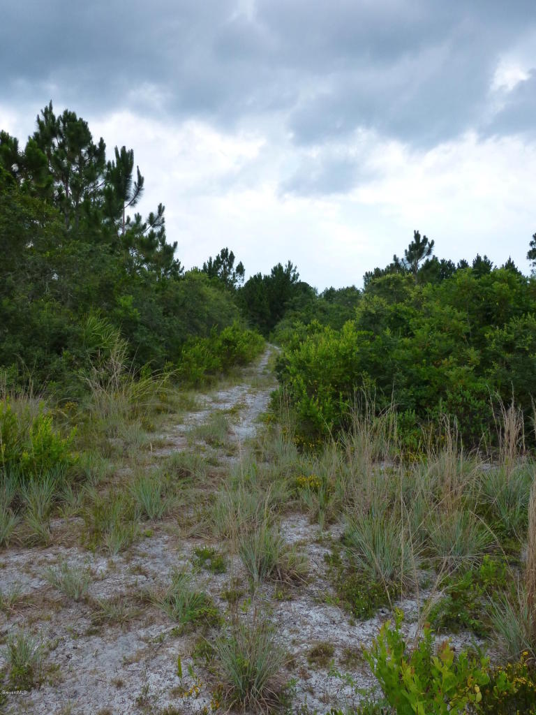 0 Magda Ln, Oak Hill, FL 32759