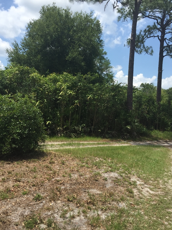 0 Murray Ave, Osteen, FL 32764