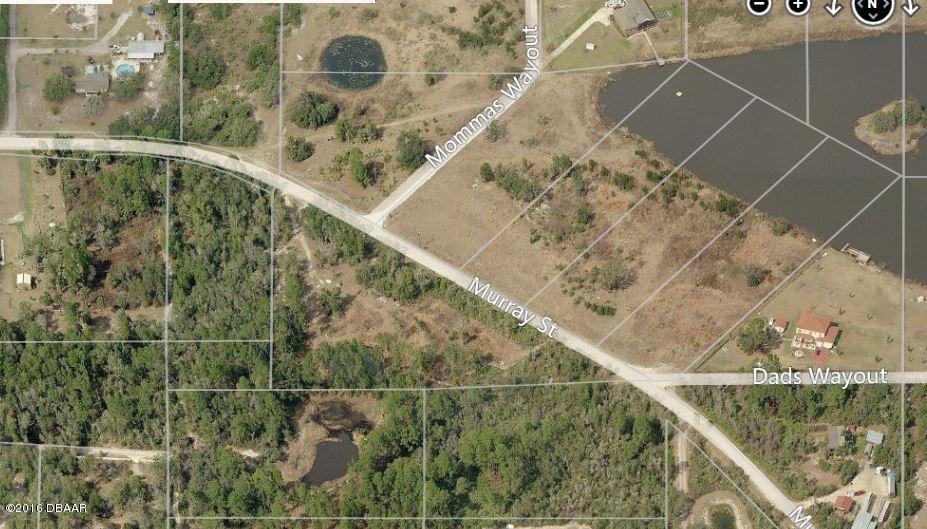 0 Murray Street, Osteen, FL 32764