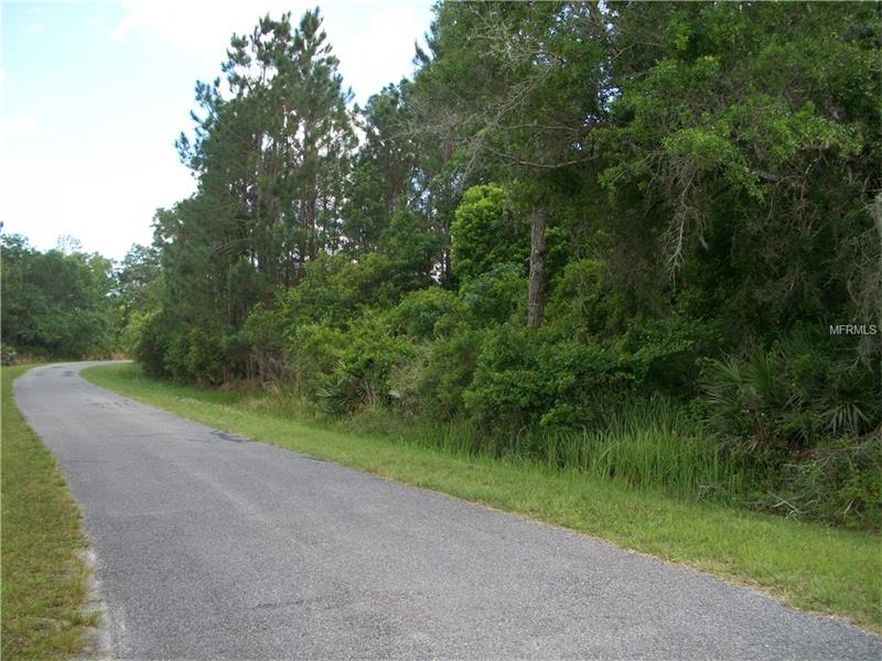 0 CYPRESS ISLES ROAD, Osteen, FL 32764