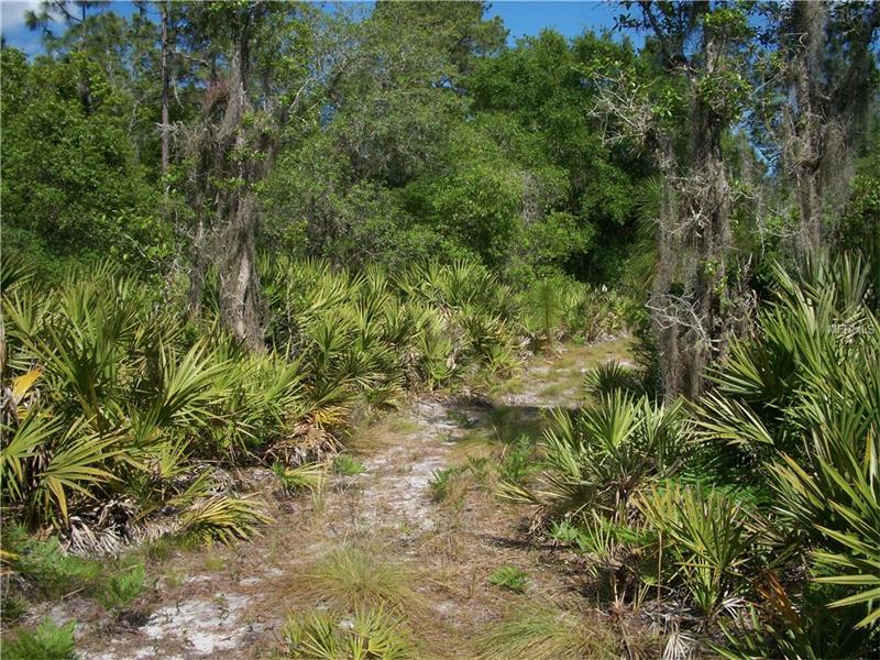 0 CYPRESS ISLES ROAD, Osteen, FL 32764