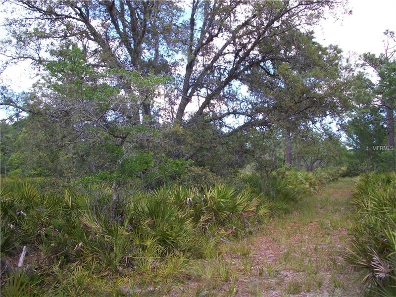 0 CYPRESS ISLES ROAD, Osteen, FL 32764