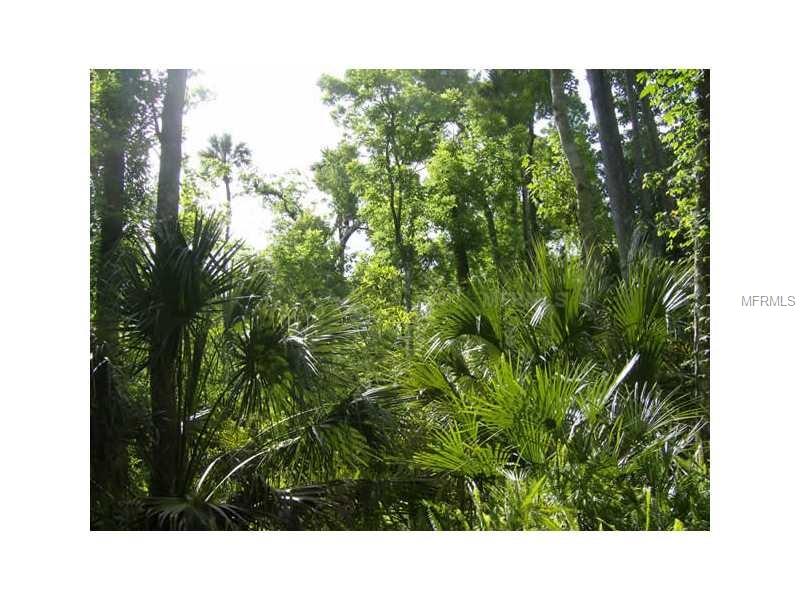 ELM STREET, Oviedo, FL 32765