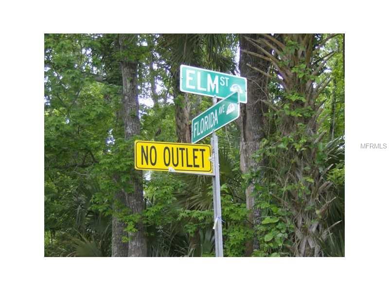 ELM STREET, Oviedo, FL 32765