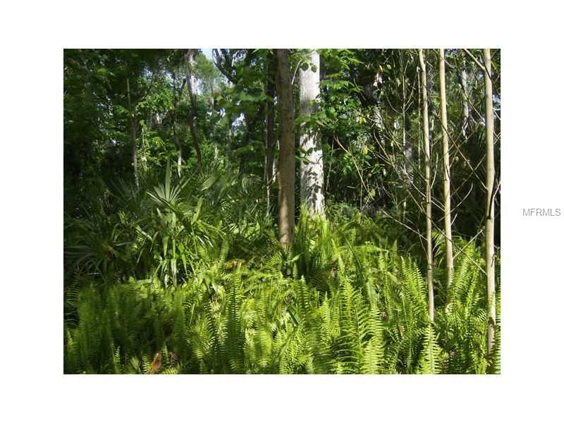 ELM STREET, Oviedo, FL 32765