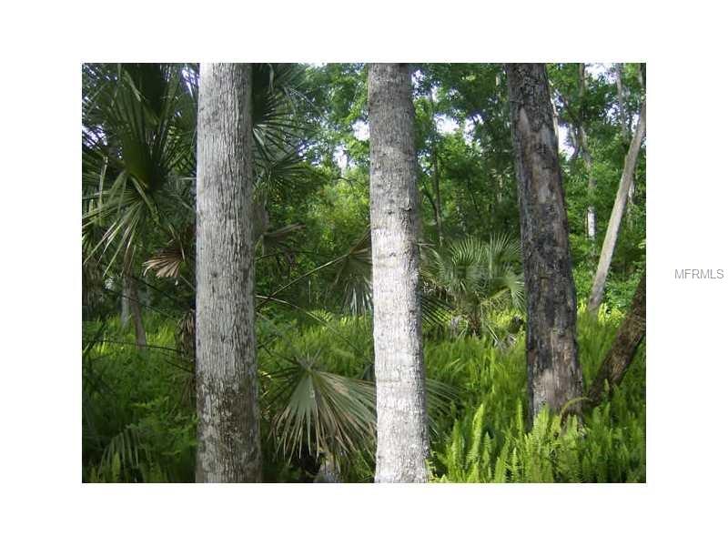 ELM STREET, Oviedo, FL 32765