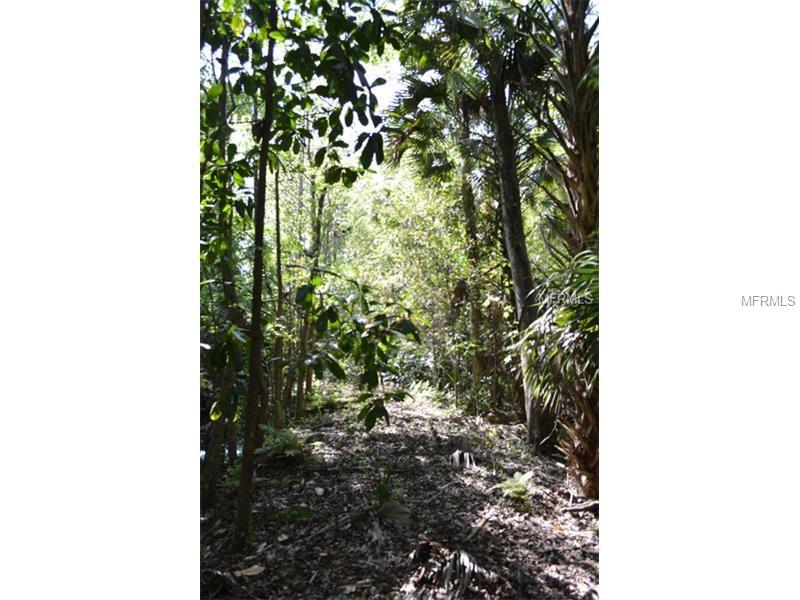 ELM ST, Oviedo, FL 32765