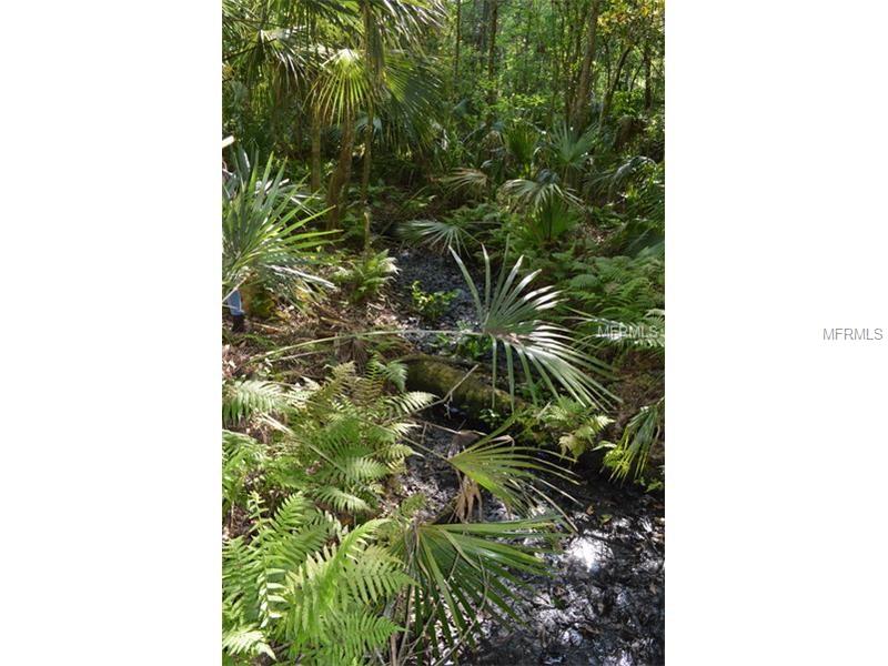 ELM ST, Oviedo, FL 32765