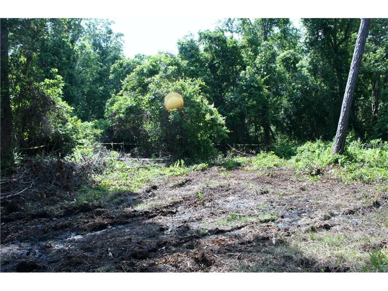 BRANTON DRIVE, Oviedo, FL 32765
