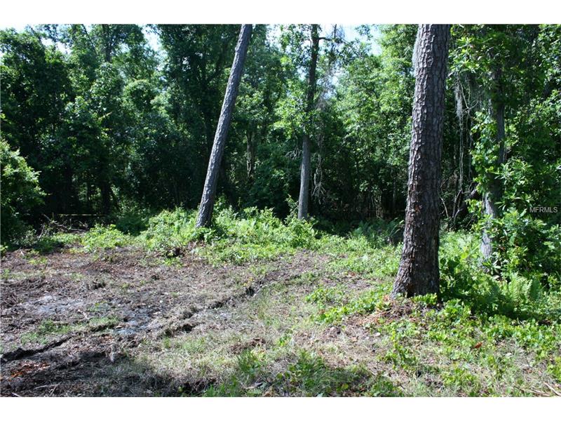 BRANTON DRIVE, Oviedo, FL 32765