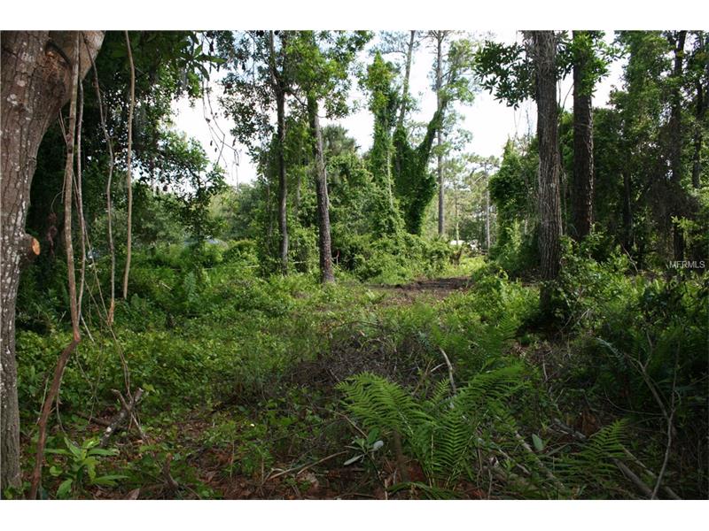 BRANTON DRIVE, Oviedo, FL 32765