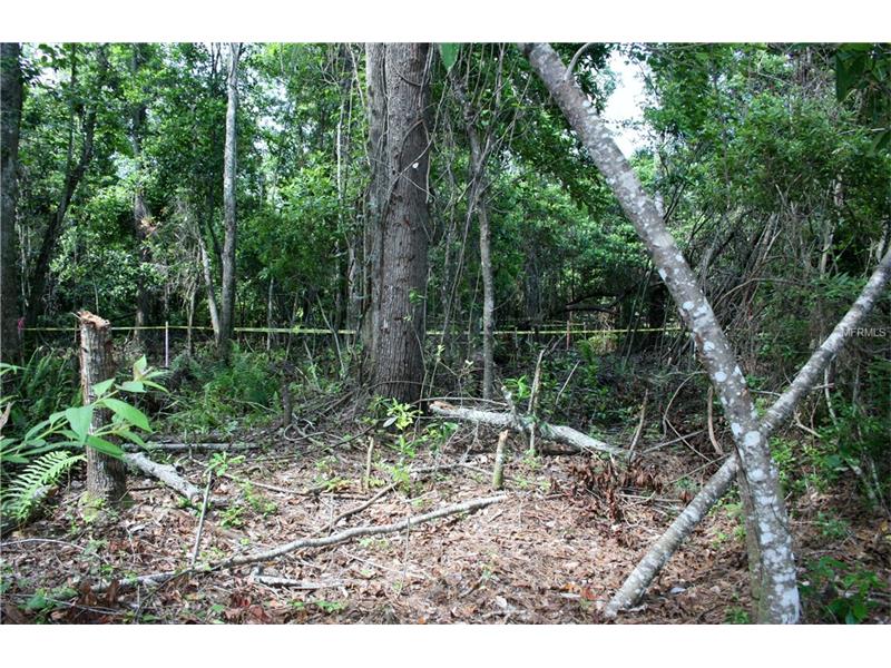 BRANTON DRIVE, Oviedo, FL 32765