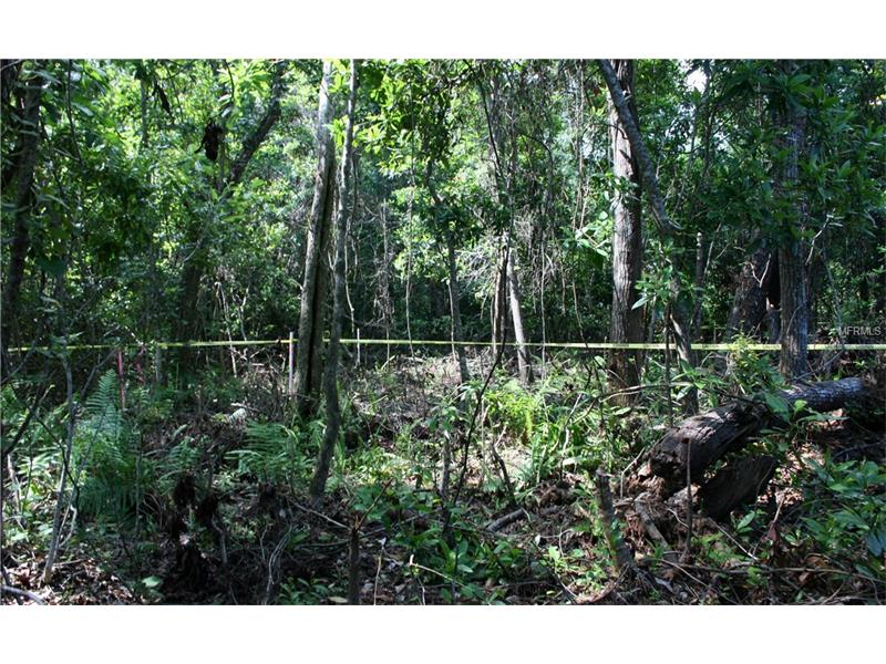 BRANTON DRIVE, Oviedo, FL 32765