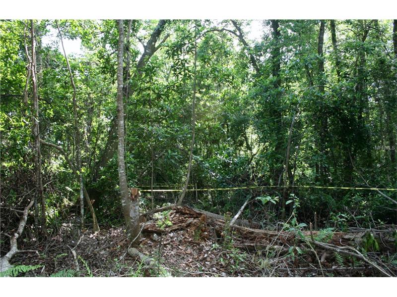 BRANTON DRIVE, Oviedo, FL 32765
