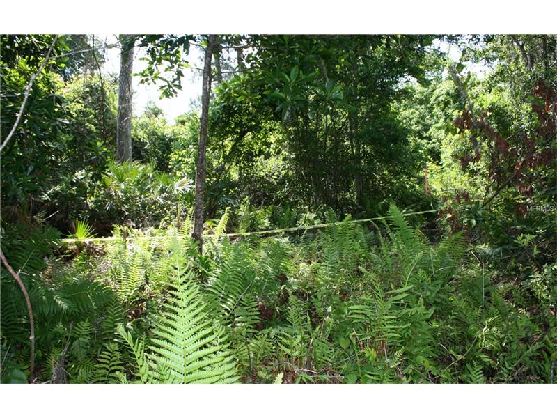 3790 BRANTON DRIVE, Oviedo, FL 32765