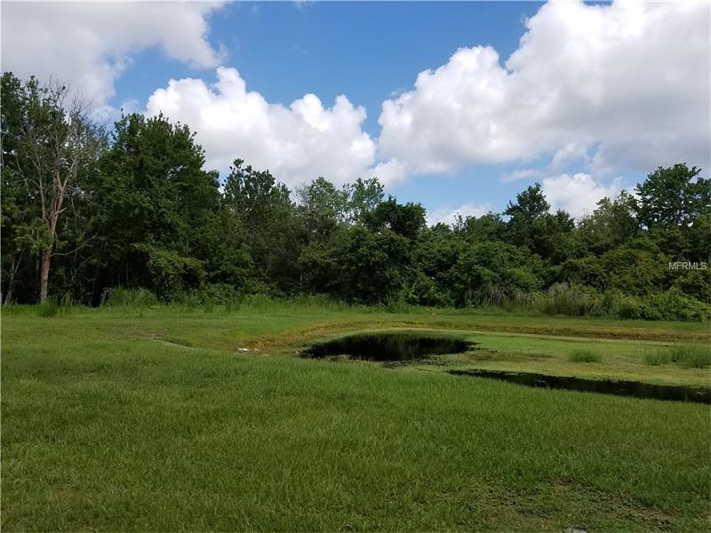 WARNER DRIVE, Chuluota, FL 32766