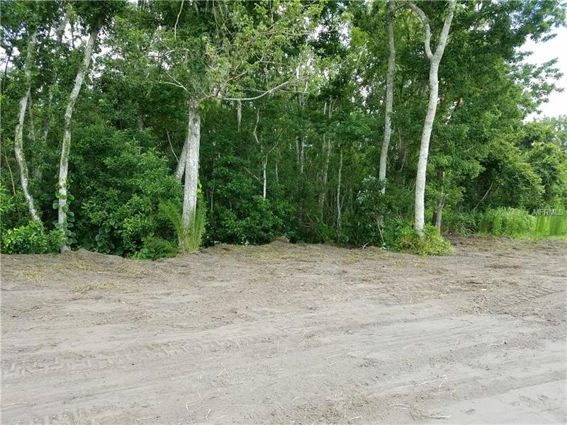 WARNER DRIVE, Chuluota, FL 32766