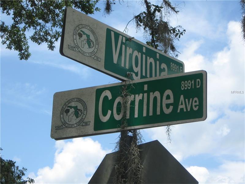 VIRGINIA STREET, Paisley, FL 32767