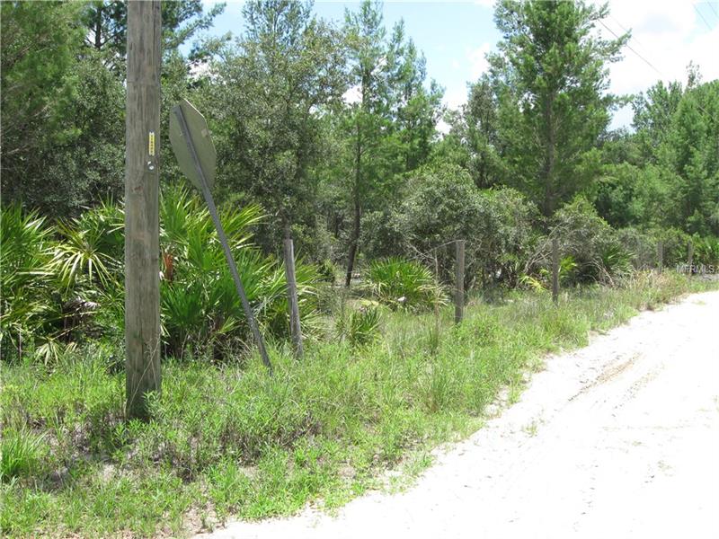 VIRGINIA STREET, Paisley, FL 32767