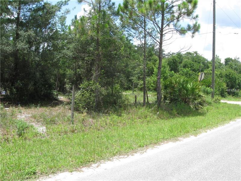 VIRGINIA STREET, Paisley, FL 32767