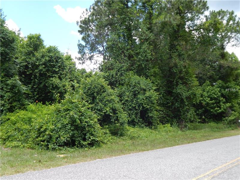 FISHERMANS ROAD, Paisley, FL 32767