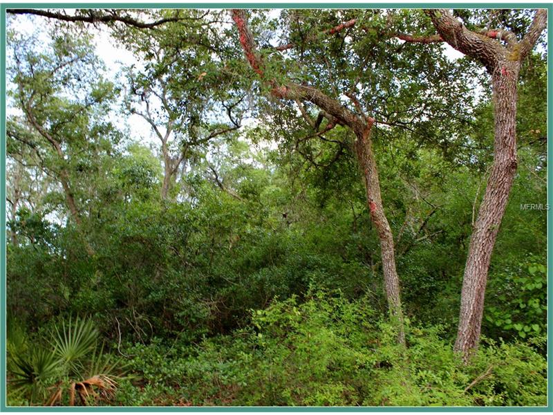 WILD ACRES TRAIL, Paisley, FL 32767