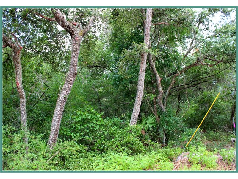 WILD ACRES TRAIL, Paisley, FL 32767