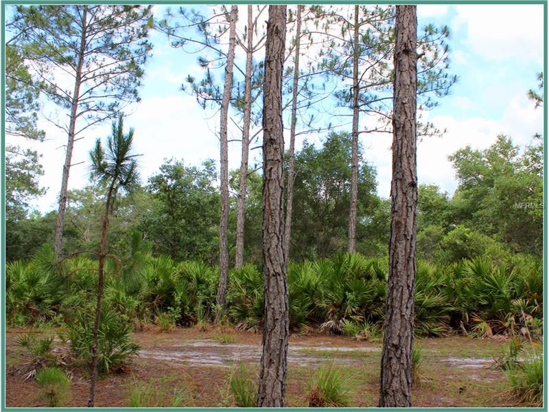 WILD ACRES TRAIL, Paisley, FL 32767