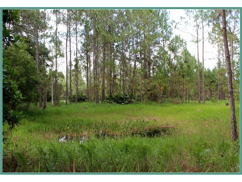 WILD ACRES TRAIL, Paisley, FL 32767