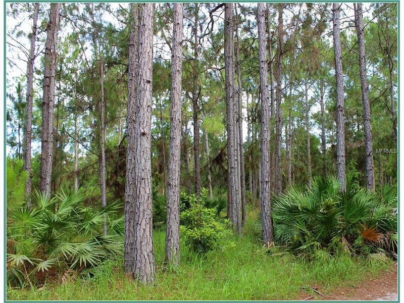 WILD ACRES TRAIL, Paisley, FL 32767