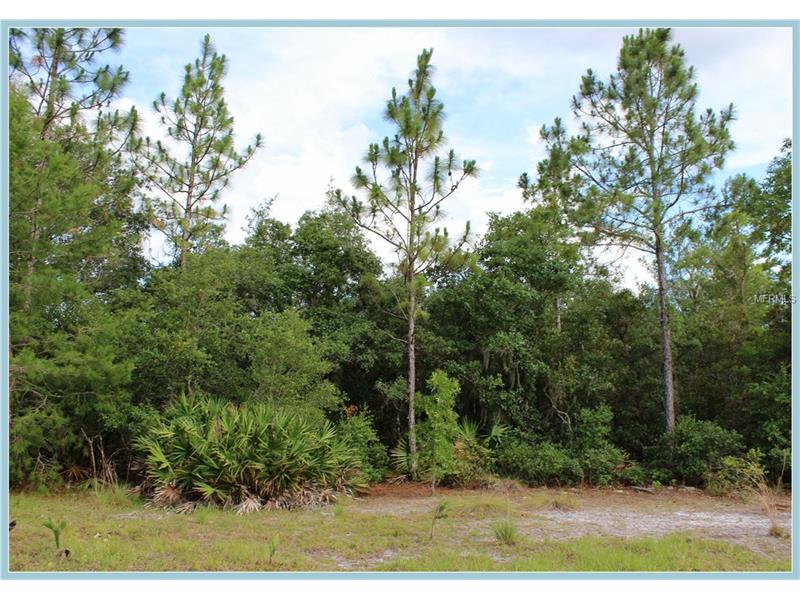 WILD ACRES TRAIL, Paisley, FL 32767