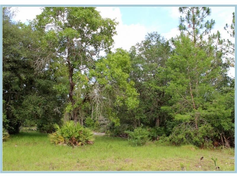 WILD ACRES TRAIL, Paisley, FL 32767