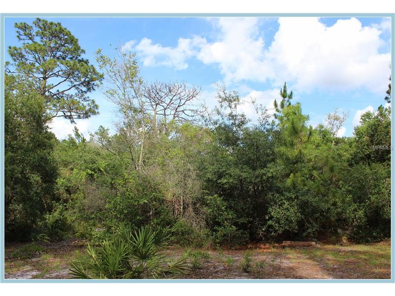 WILD ACRES TRAIL, Paisley, FL 32767