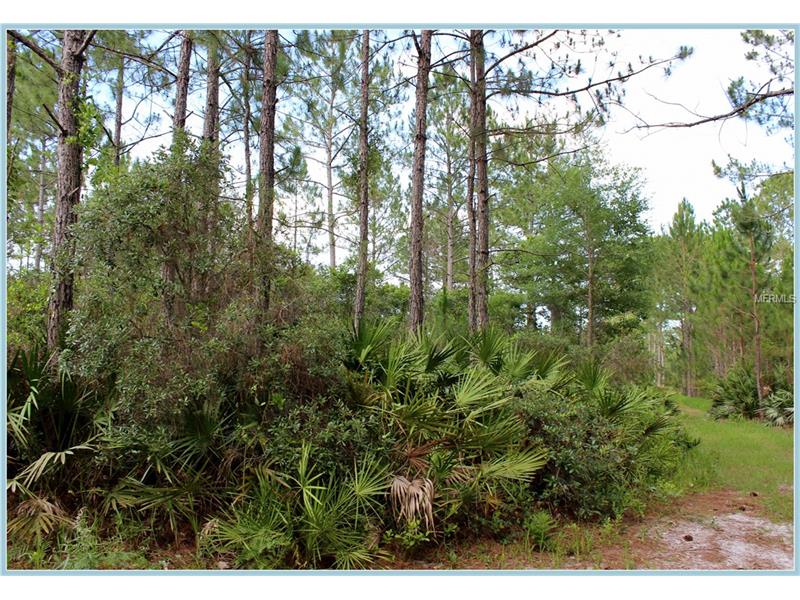 WILD ACRES TRAIL, Paisley, FL 32767