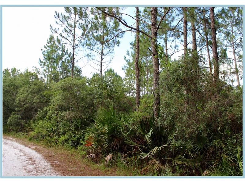 WILD ACRES TRAIL, Paisley, FL 32767