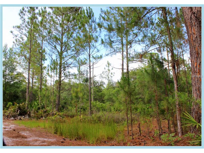 WILD ACRES TRAIL, Paisley, FL 32767