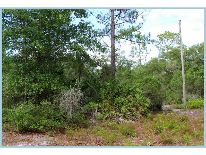WILD ACRES TRAIL, Paisley, FL 32767