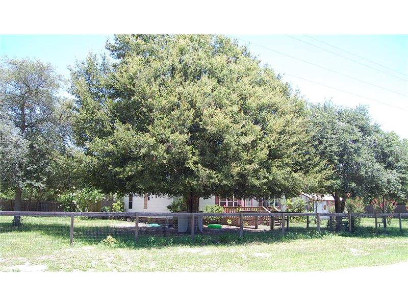 42334Maggie Jones Rd, Paisley, FL 32767