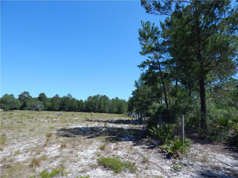 43120 DIXIE DRIVE, Paisley, FL 32767