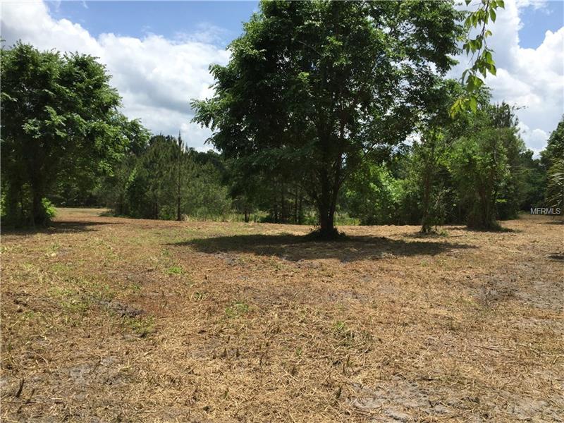 NORTH CAROLINA RUN, Sanford, FL 32773